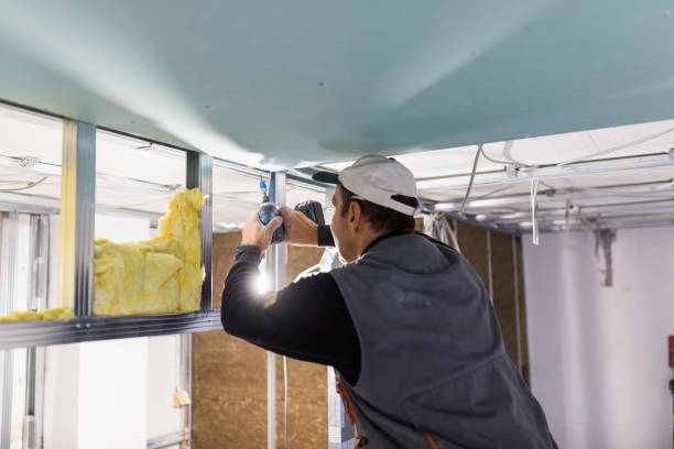 Best Geographic-Specific Insulation Services in Chlicothe, IL